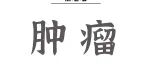 Mol Ther丨祖旭宇/申莹莹团队揭示改善三阴性乳腺癌免疫治疗的新策略