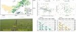 Functional Ecology: 韩兴国/姜勇团队发现放牧干扰草原植物群落硅基和酚基防御性状权衡关系