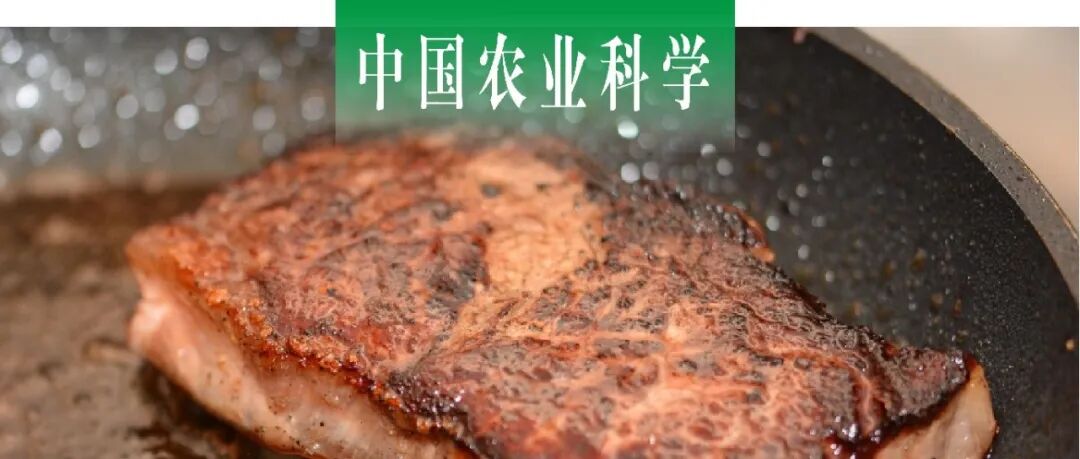 中国农业科学｜中国农科院“中式食品加工与装备”创新团队探析炒制猪肉理化特性、食用品质和糖基化终产物对火候的响应