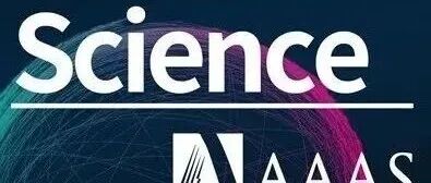 【科技前沿】Science | RNA转录本通过形成G-loop调控G-四链体结构