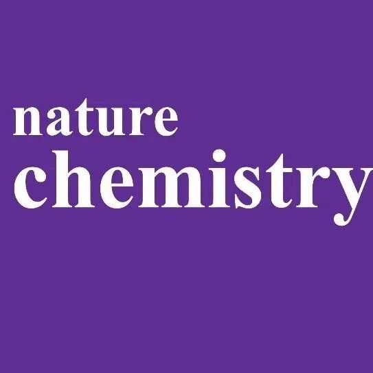 武大/香港科技/中科大合作，Nature Chemistry！