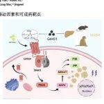 JCI、nature reviews gastroenterology& hepatology | 期刊学习