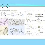 【CCS Chem.】上科大黄焕明课题组与UCLA Houk团队：可见光驱动氧杂-双-π-乙烷重排反应