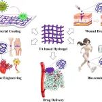 南华大学刘阳团队 CEJ 综述：单宁酸 - 水凝胶构建和生物医用中的一种明星分子