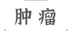 Adv Sci丨黄陈团队发现胃癌转移新的预后标志物及其潜在的调控机制