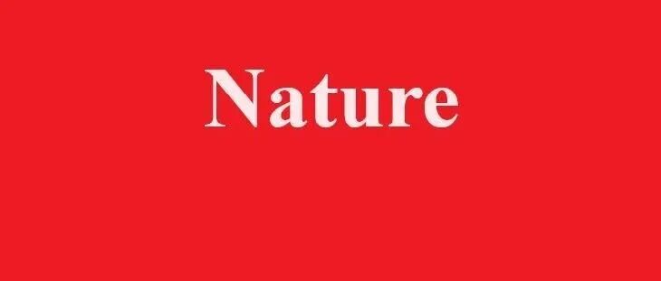 《Nature》重磅！一种耐高温氧化（1100℃）的韧性铬钼合金