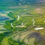 Trends in Plant Science | 华中农业大学植物营养生物学团队提出应对农田土壤酸化的多学科解决方案
