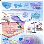 武汉大学王子健团队等 Cell 子刊：异质结微针通过二次打击机制治疗糖尿病创面感染