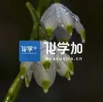 湖南师范大学黄学良教授课题组，连发JACS、Nat. Commun.！