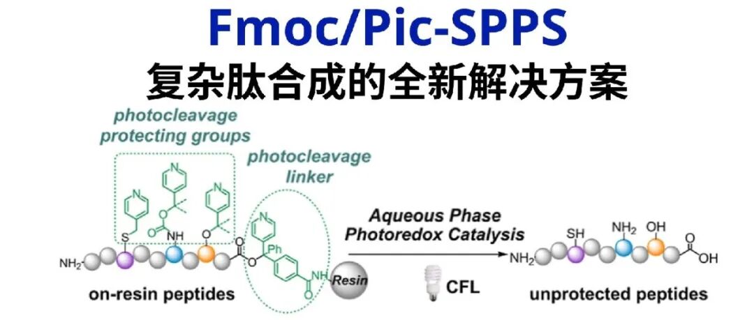 Fmoc/Pic-SPPS | 复杂肽合成的全新解决方案