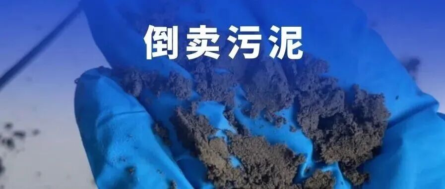 给水排水 |借蚯蚓养殖骗固废资质，年收千吨污泥「赚补贴」，倒卖毒“营养土”年入过亿！