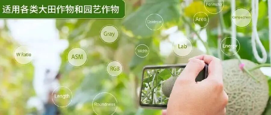 一款高效提取农艺性状的科研神器！