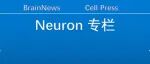Neuron：任超然团队发现视觉丘脑调控大脑应激反应新机制