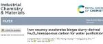 同济大学马杰团队&朱洪光团队Ind. Chem. Mater.：铁空位加速沼液衍生Fe₃O₄/介孔碳复合材料用于高效水净化