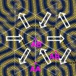 (纯计算)复旦大学向红军/徐长松团队Phys. Rev. Lett.: 转角双层NiI2中莫尔晶格诱导的磁电效应