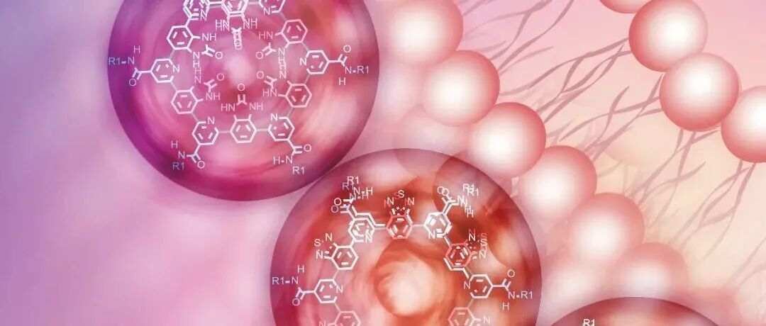 Sci. China Chem. 2025年第11期目录