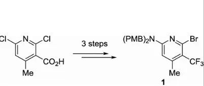 Manufacturing Process for Key Intermediate of Divarasib (1)
