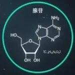 Nature重磅！北京脑所罗敏敏实验室发现抑郁症治疗新机制，或将颠覆传统治疗手段