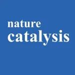 香港中文/新加坡国立，Nature Catalysis！