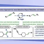 【JACS】以色列魏茨曼科学研究院：单电子路径的钴催化实现反式选择性炔烃半还原