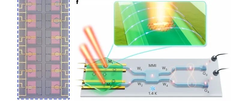 研究前沿：华中科技大学陈学文团队，片上集成分子-光量子芯片 | Nature Nanotechnology