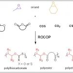 浙大伍广朋课题组 Macromolecules：利用有机硼催化剂直接观察环氧丙烷和与环氧环己烷开环聚合行为差异
