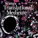 突破！科学家用“自底向上”新策略，设计高效结核病mRNA疫苗