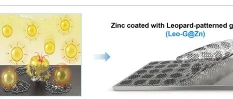 汉阳大学《Carbon Energy》：新方法制备“豹纹石墨烯”，用于高性能水性锌离子电池