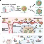 ACS Nano | 东南大学杨芳团队研究设计可编程纳米脂质体平台诱导胶质母细胞瘤超声可视化铜死亡