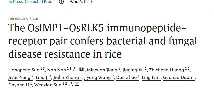 文献分享|OsIMP1-OsRLK5 免疫肽 - 受体对赋予水稻抗细菌和真菌病害能力