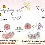 Cell biomaterials:微针递送钙通道阻滞剂，防止术后腹腔粘连