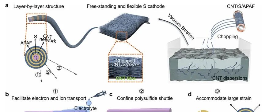 《JACS》：调控电子与离子导电框架用于高能量密度锂硫电池