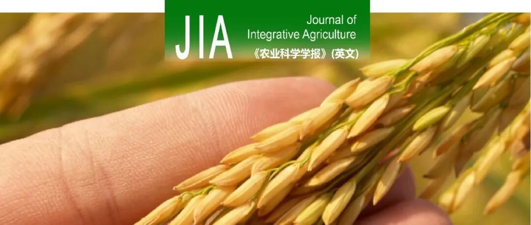 JIA | 南京农大揭示利用叶片氮平衡指数评估缓控释肥的氮素供应特性