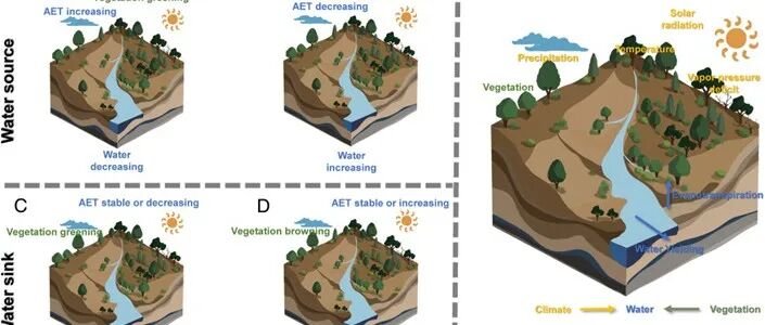 文献分享 | PNAS：地球绿化和气候变化重塑陆地水汇和水源的模式
