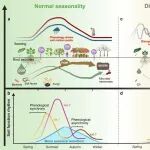 Communications Earth & Environment| “碳”寻地下节律：科学家呼吁全球监测土壤生物钟以稳固碳汇