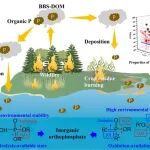 福建师范大学陈卫锋、江苏大学贾慧JGR-A：分子解析生物质燃烧烟气中溶解性有机磷的环境稳定性