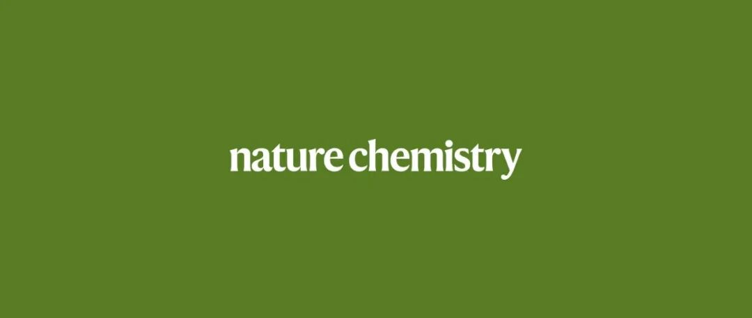 乔世璋院士最新Nature Chemistry：高性能锌碘软包电池