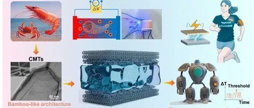 广西大学《ACS SCE》：竹子状生物衍生碳微管，用于高性能离子热电超级电容器