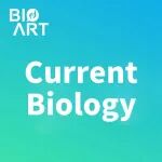 Curr Biol | 潘俊敏课题组在衣藻中揭示磷脂翻转酶调控纤毛膜形态与发生的机制