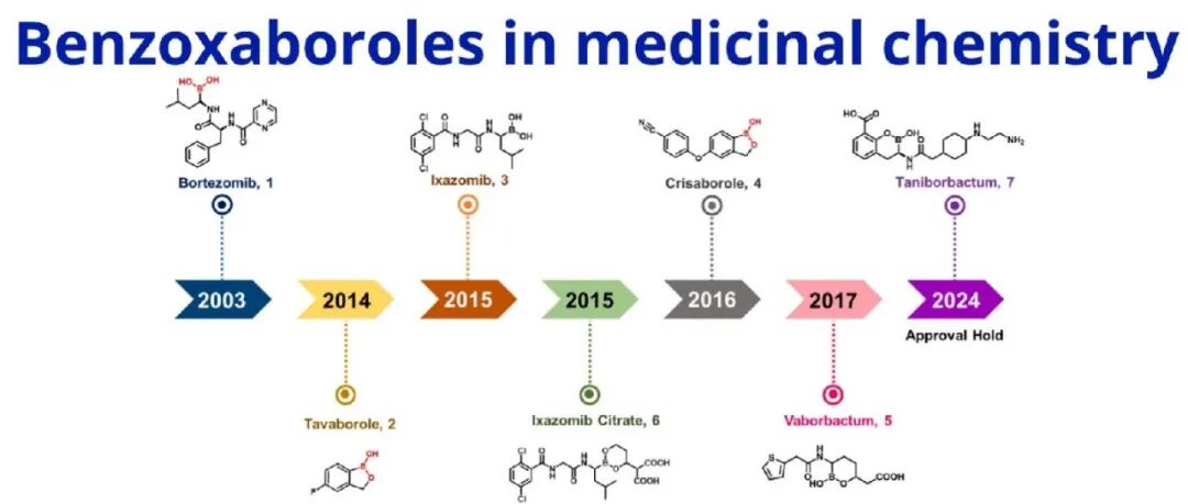 硼化学 | 含硼药物的“全能骨架”，实现硼元素多领域药用新突破