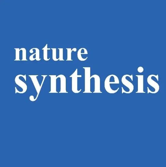 浙江大学，Nature Synthesis！