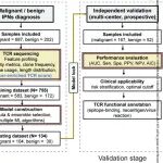 Cancer Res | 中国研究团队通过大规模T细胞受体谱分析揭示了诊断不确定肺结节的肿瘤特异性信号