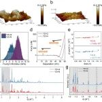 梁剑文、孙学良、薄首行Nature Commun.：缺陷增韧策略赋予固态电解质弹性