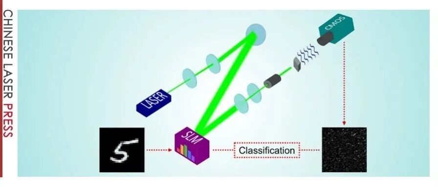 Speckle Transformer模型：告别重建，实现散射介质下的直接分类 | Adv. Photon. Nexus