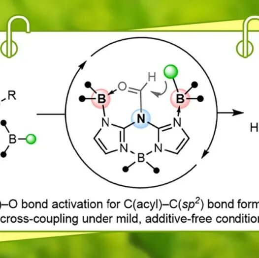 【JACS】麦吉尔大学Légaré无金属催化新突破：首个高效催化酯与硼烷交叉偶联的无金属催化体系