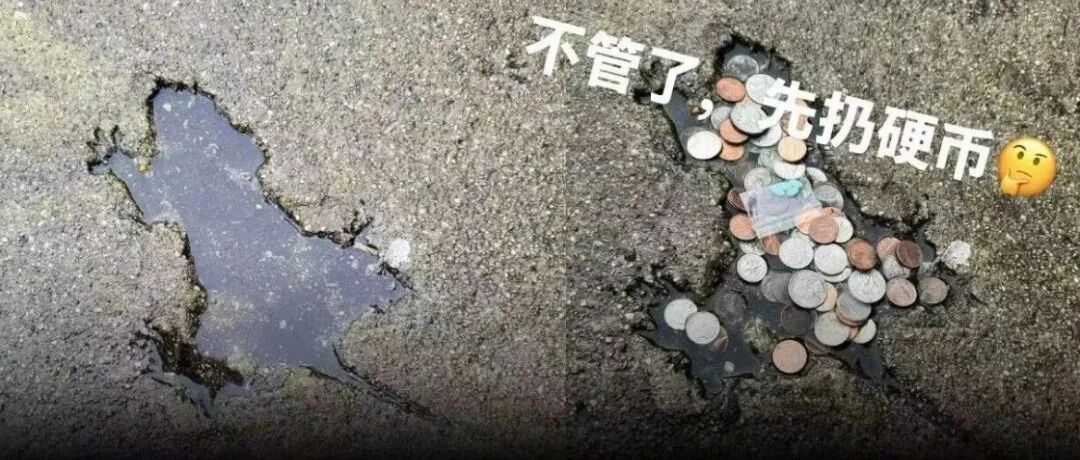 水泥地上的老鼠印意外引爆网络，一年后科学家才找到真正成因｜Nature重磅：鲸鱼长寿且不患癌症，关键在于这个蛋白｜本周值得读