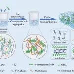 湖北大学张玉红、陈朝霞/武汉工程大学江学良 IJBM：K⁺/Ca²⁺协同增强卡拉胶离子导电水凝胶用于多功能柔性传感器