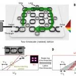 研究透视：氮化硅光子芯片 | Science