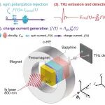 研究透视：逆手性诱导自旋选择性ICISS-太赫兹 | Science