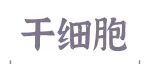 专家点评 Adv Sci丨帅领团队开发干细胞全能性激活培养基，为早期胚胎发育与再生医学研究开辟新路径